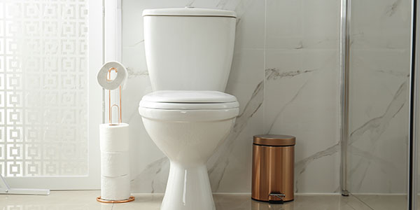 Prevent scale and bacteria buildup on your bathroom Toilets With Better, cleaner, and Healthier Water 